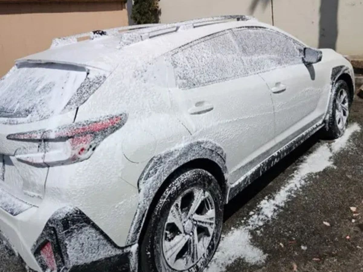 Full Detail mobile car wash service